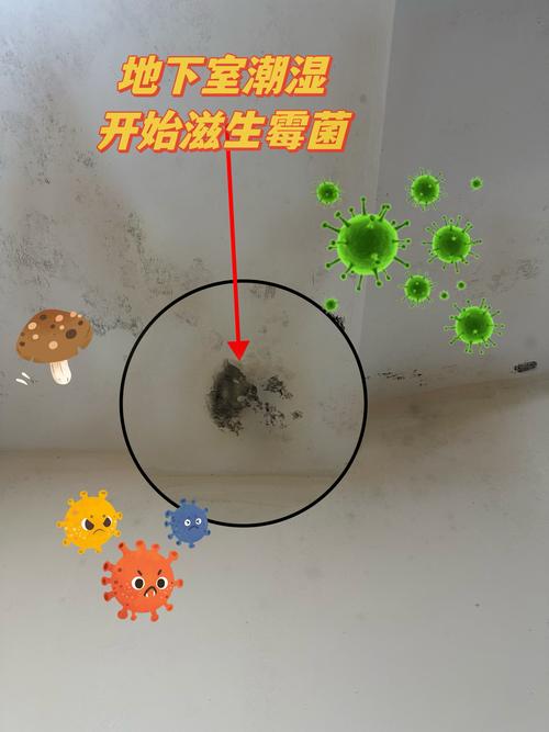 房间潮湿会对风水产生怎样的负面影响呢？