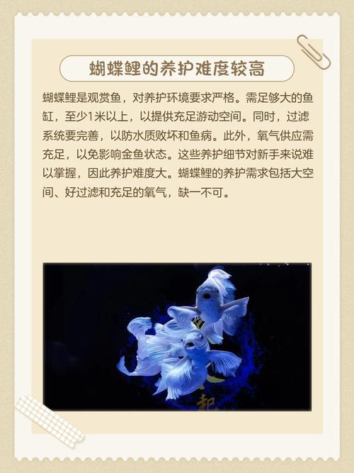 什么命的人最适合养鱼能带来好运，而哪些命的人不宜养鱼会导致运势不佳？