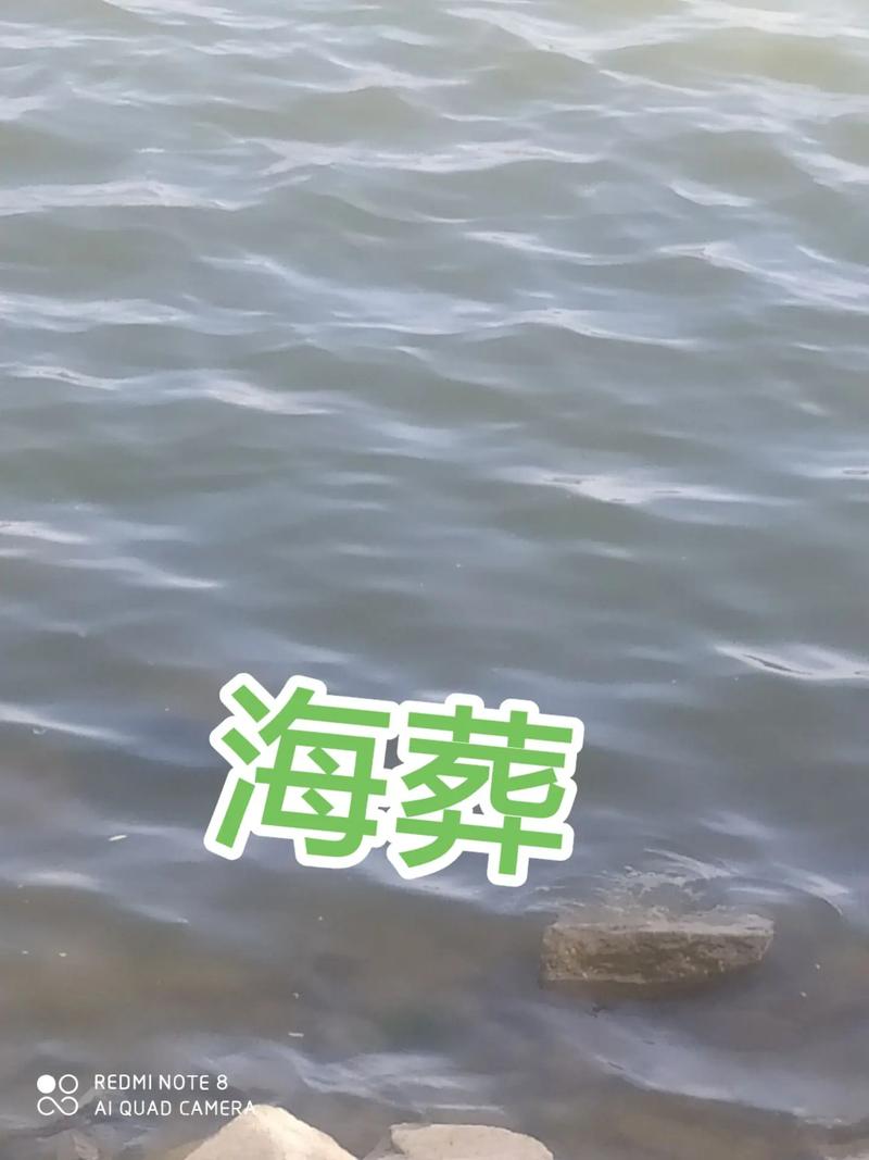 骨灰海葬时是否需要考虑风水因素呢？