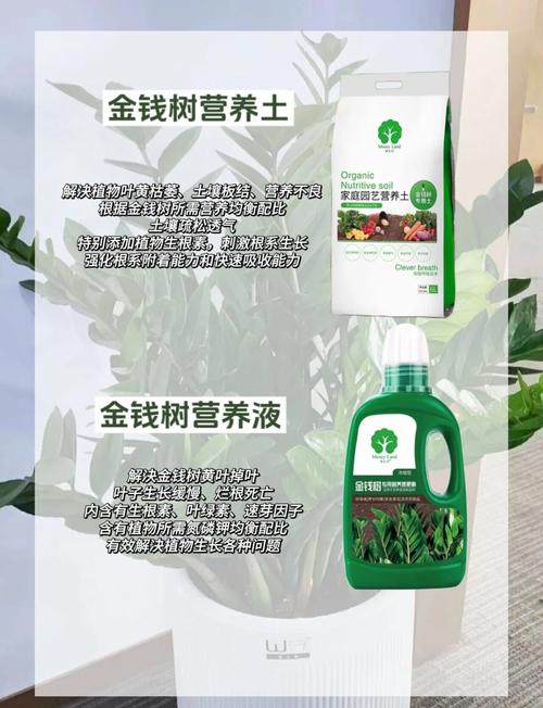 大林木命忌讳哪些行业？如何才能旺财？