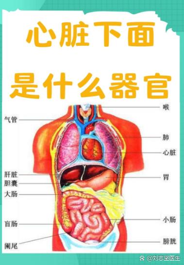 风水布局对心脏健康可能产生哪些具体影响？