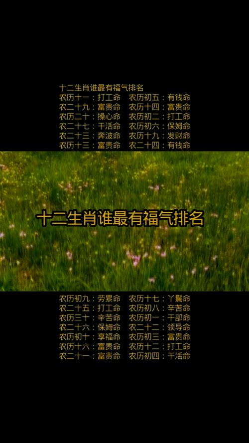 哪个属相的人最有特等命，福气排名如何？