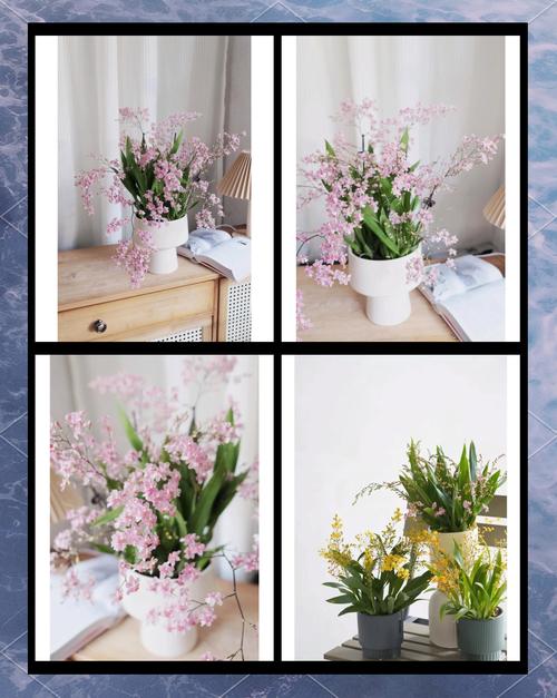 兰花命适合哪些工作？水命又最忌讳哪些行业？