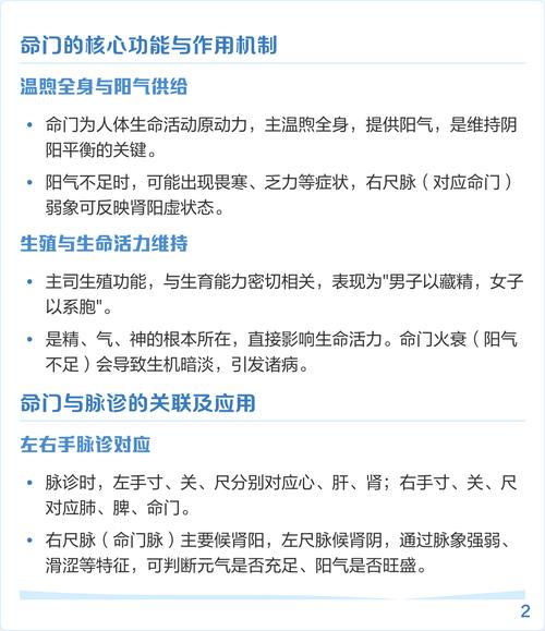 左手心肝肾右手肺脾命，命指的是什么？中医五脏理论中的肺脾命有何特殊含义？