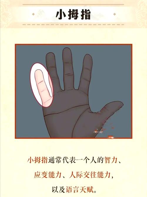 手指短长代表什么命运？手背长手指短的人命运会否改写？