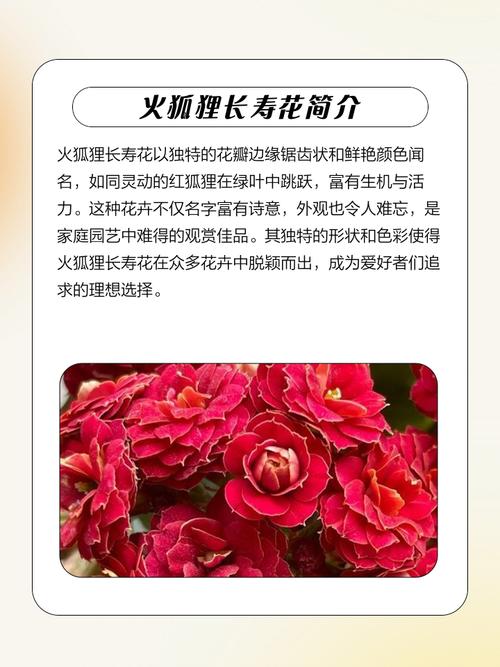 火命人为什么不适合养某些花？