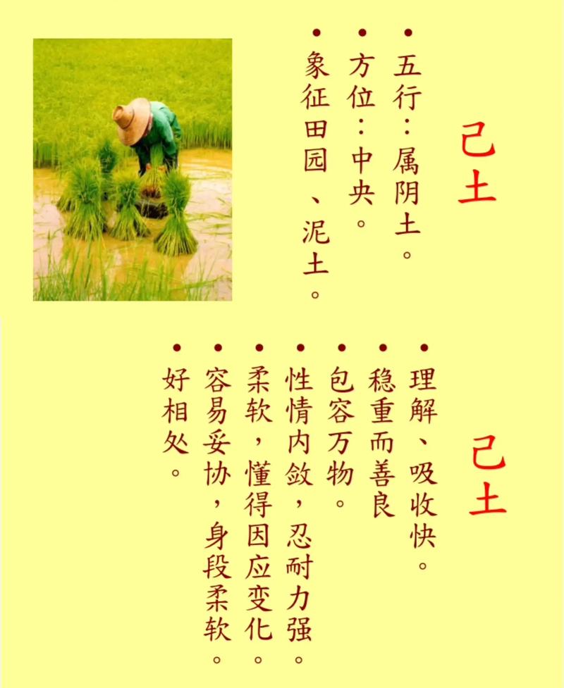 戊申年生土命缺什么戊土和戊土相合吗？