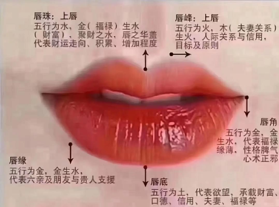 菱角嘴唇代表什么命运？女人的性格特点有哪些？