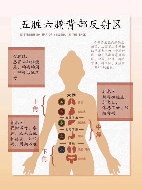 后背酸痛是否与家居风水布局有直接关联？