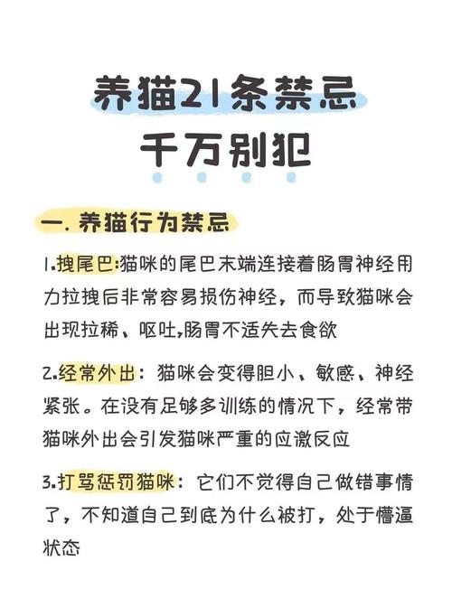 为什么有人说风水说法中不能养猫呢？