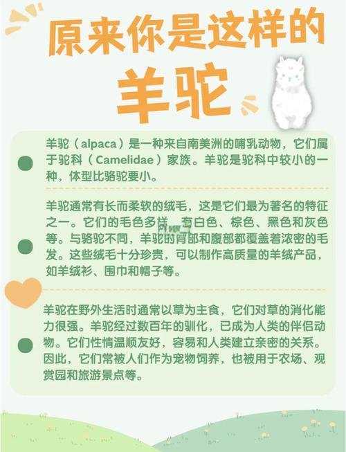 羊驼夹命最忌讳哪种命格，沙中金命格又最怕哪种火克？