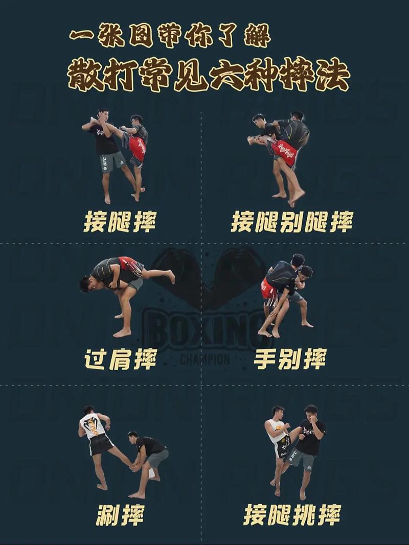 摔跤运动与风水学之间是否存在某种关联？