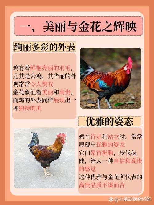 1968、1969年出生的土鸡命缺什么如何补运？