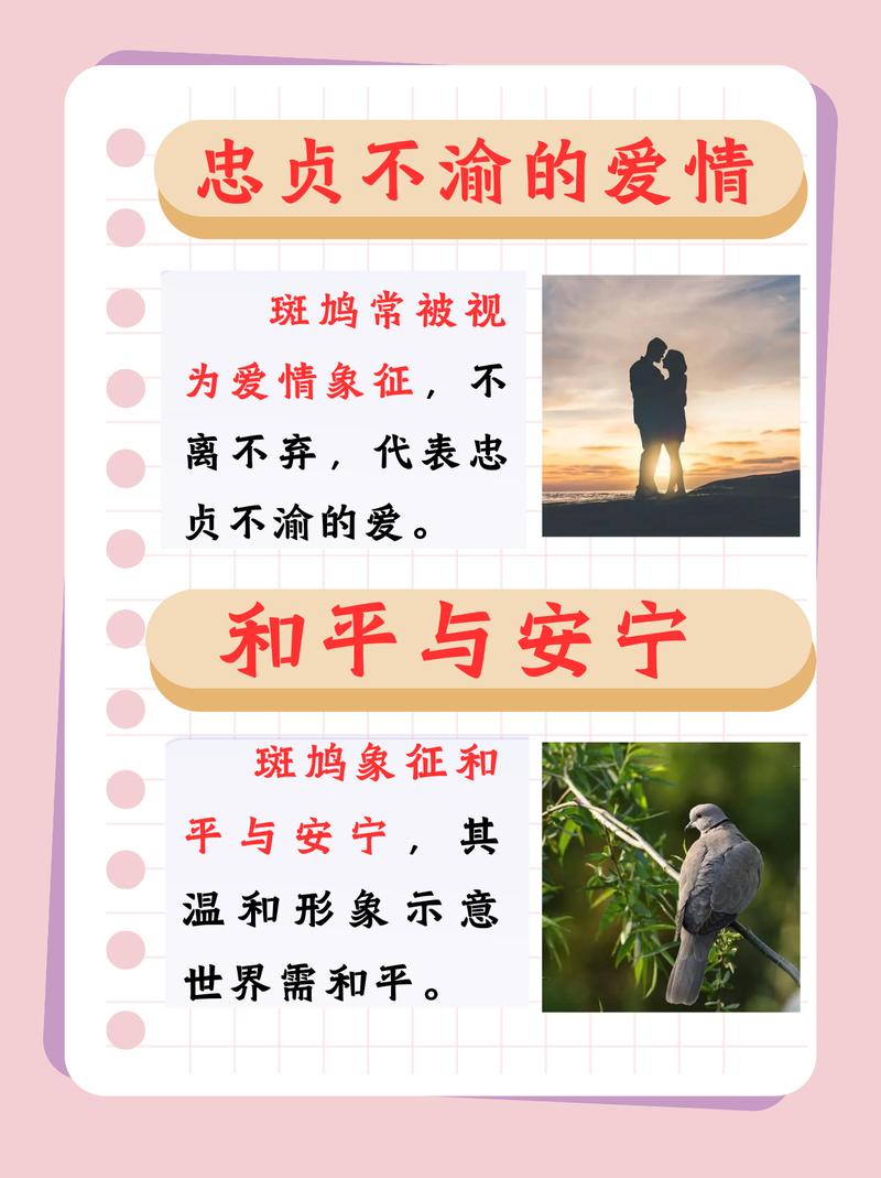 风水斑鸠是吉祥鸟吗？这传说中的吉祥鸟，在风水学中地位如何？