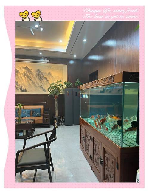 鱼缸横梁的风水讲究有哪些，对家居环境有怎样的影响？