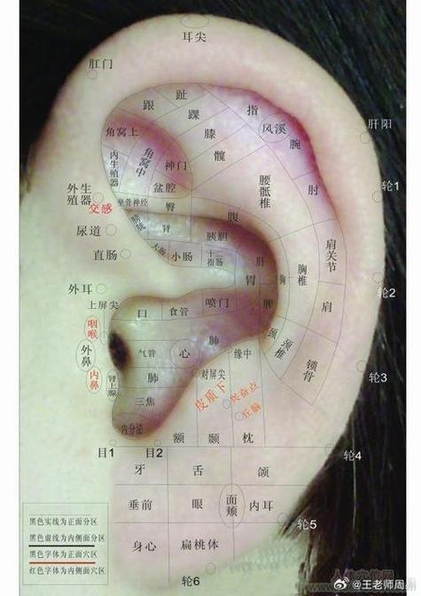 长子耳朵与风水之间是否存在某种联系？