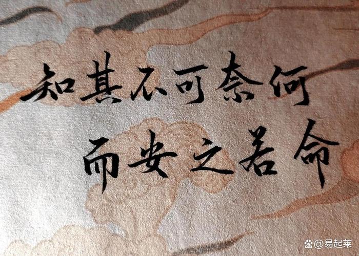 无以命之的命是什么意思？在无以命之中的语境下如何解释？