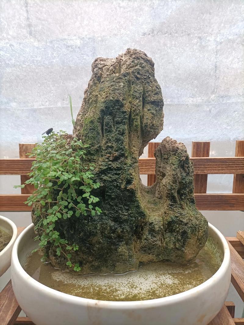 风水招财假山对财运提升真的有帮助吗？