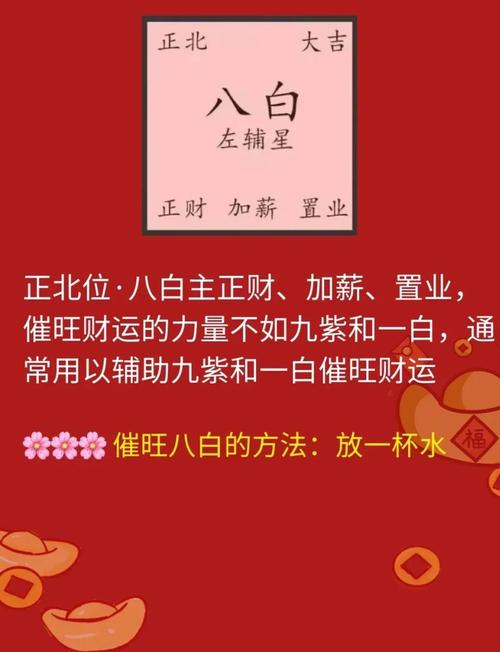 春节期间适合看风水吗？有没有什么特别的风水禁忌需要注意？