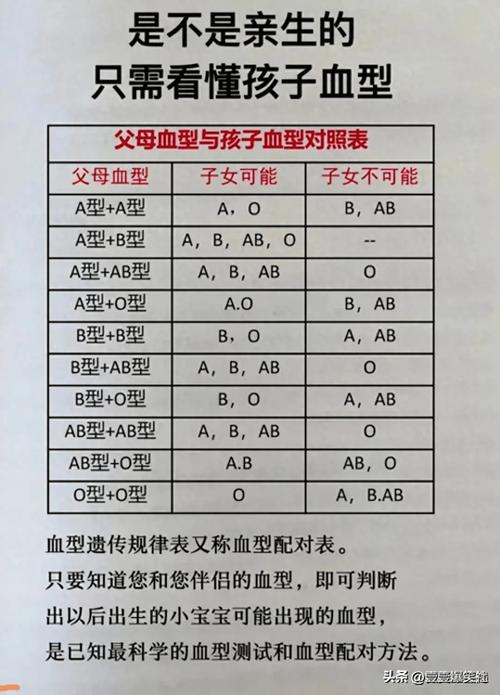 亲兄弟的命理中，单支命指的是什么？他们是否必然共享相同的血型？