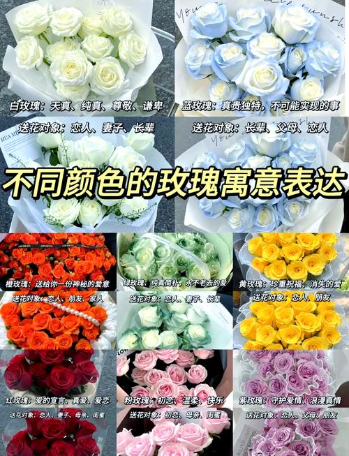 喷漆白玫瑰会对家居风水产生怎样的影响？