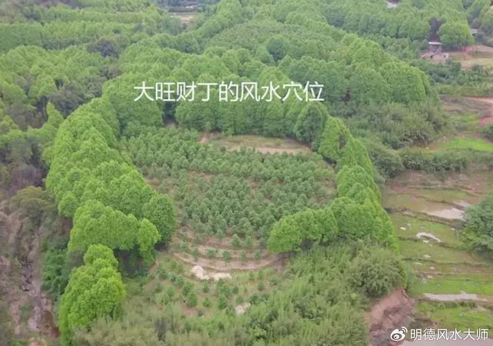 束城镇东王村附近有哪家机构或大师能看风水吗？