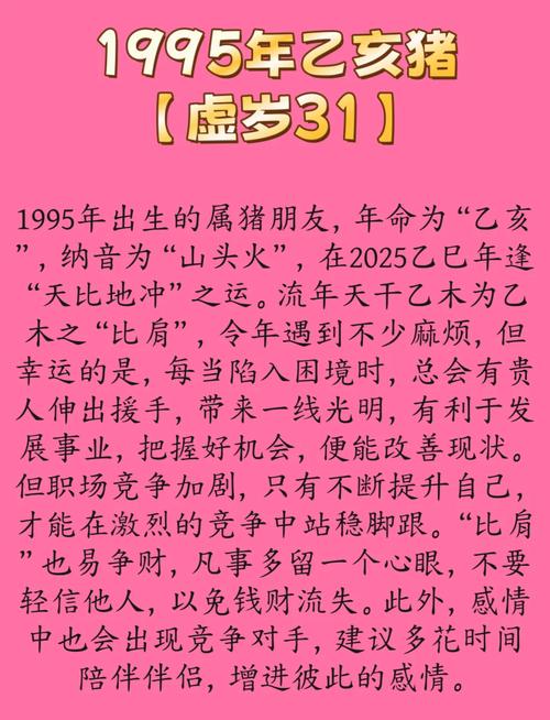 每年属相对应的命是什么？1995年属猪的人是什么命？