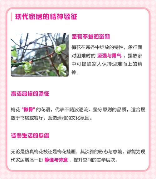 梅花家养对家居风水有怎样的影响和作用？
