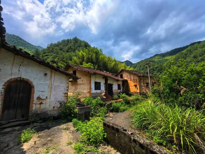 深山里的人家居住寿命会更长吗？