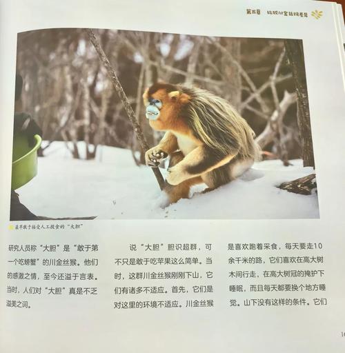 猴子养家能力如何？风水条件怎么样？