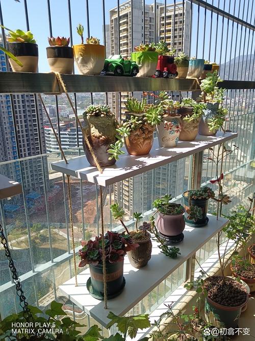 多肉植物摆放在阳台风水上合适吗？