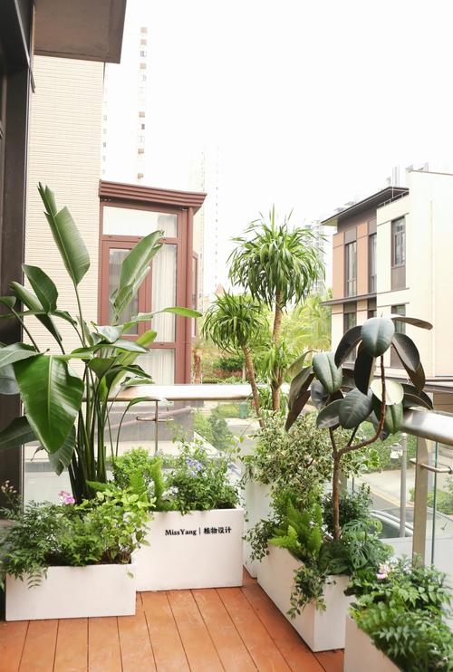 露台摆放盆景风水如何，适合吗？