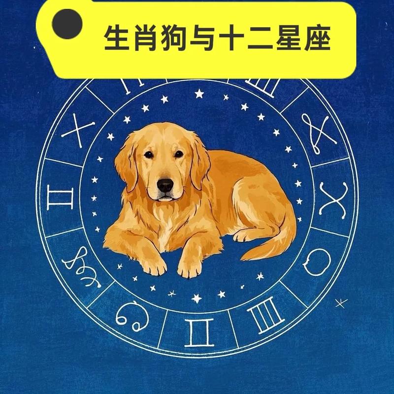 正月十一属狗是什么命？农历十一月属狗的命运会如何改变？