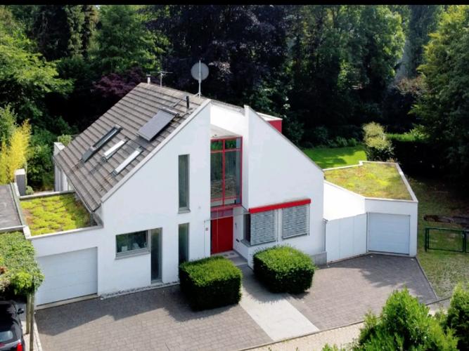 在德国看风水是否违反当地法律或规定？