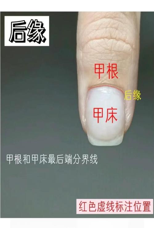 指甲形状与命运有何关联？指甲盖状况反映哪些运势不足？