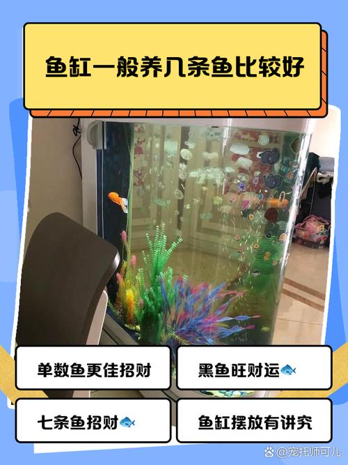 风水鱼缸里的水是否适合长期养鱼，会不会影响鱼儿的健康和生长？