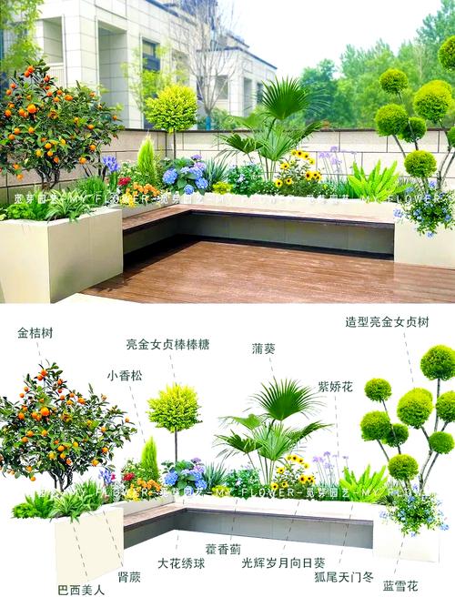 后院种花需要注意哪些风水讲究？