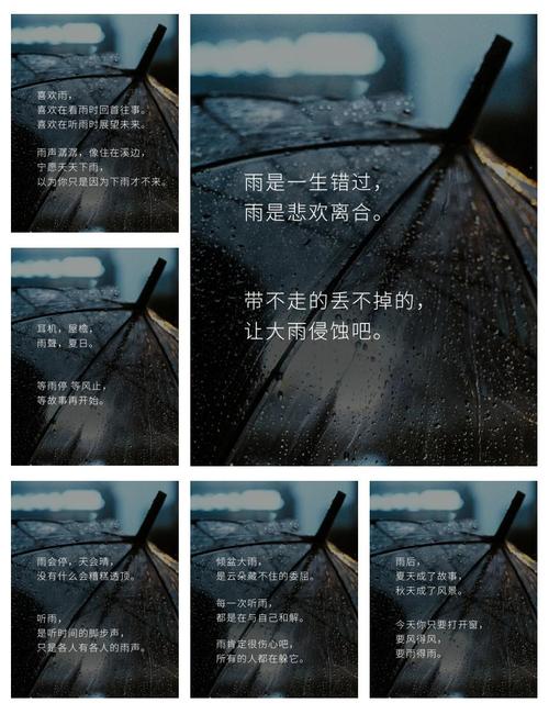 出生时逢大雨，这命的人是否偏爱雨天？