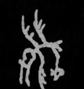 熊字在命理中属于什么属性？熊字五行是属火还是属水呢？