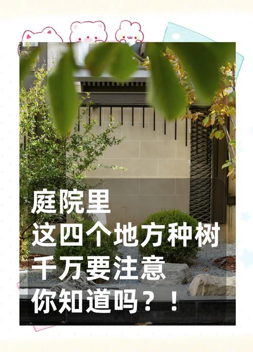 庭院入户的风水讲究有哪些具体注意事项？