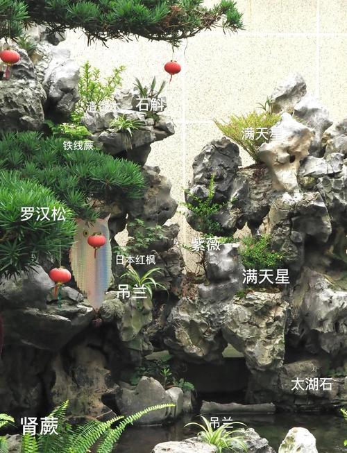 鱼池能种树吗？这样的风水布局是否吉利？