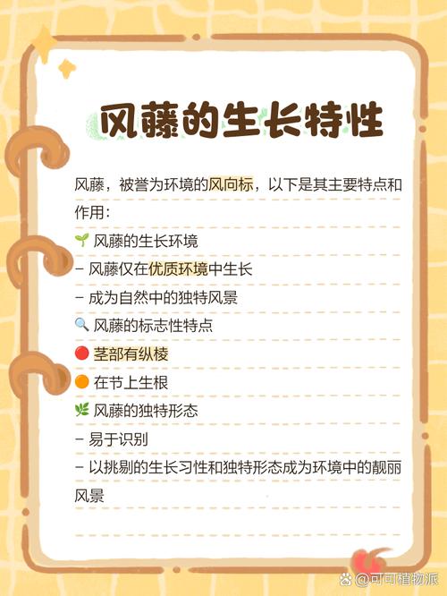 藤本植物对风水有何具体影响？