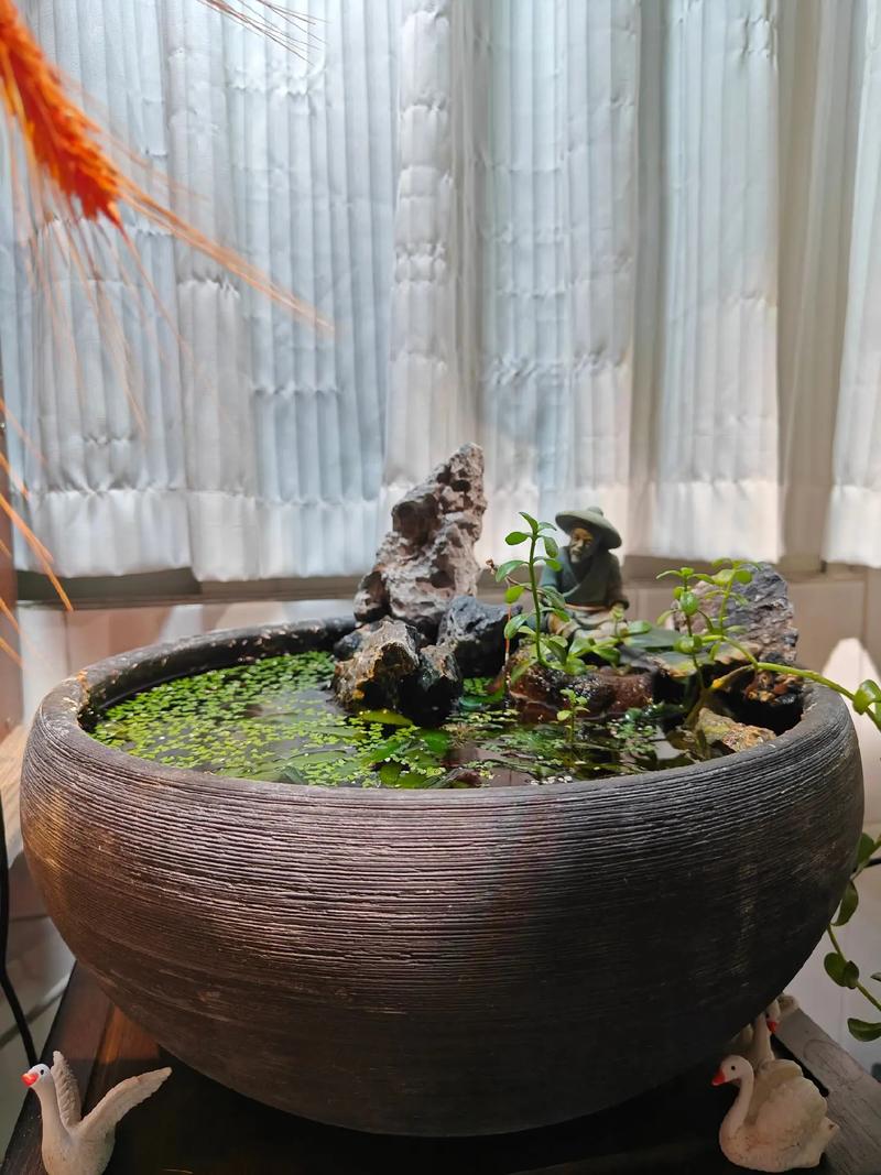 没水的造景缸对风水有影响吗？