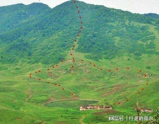 坟头见野鸡风水对女儿运势有提升作用吗？