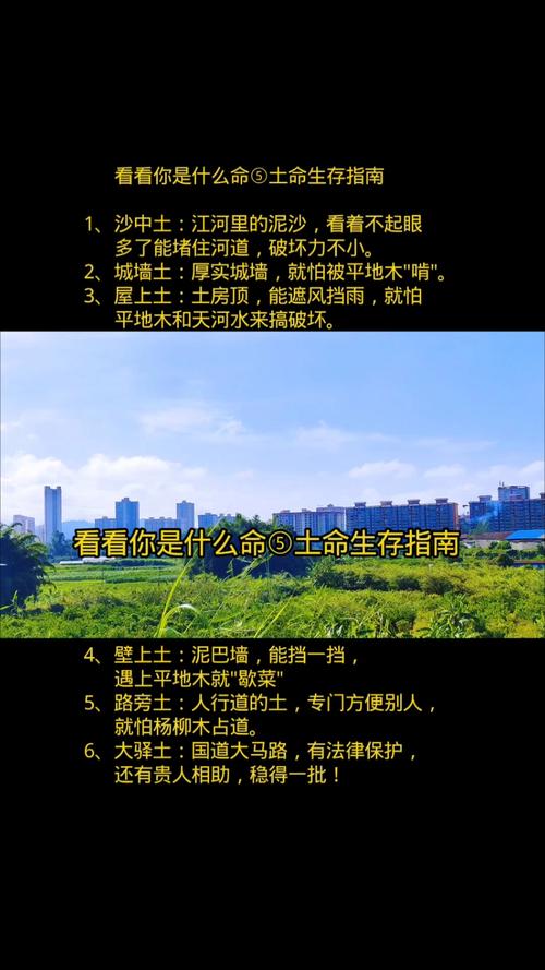 土命的人需要注意哪些方面才嫩梗好地发挥自己的优势？