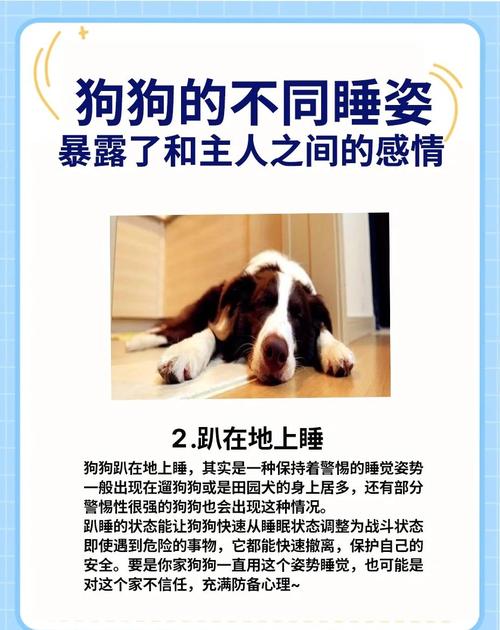 狗长期睡在门口对家庭风水有何不利影响？