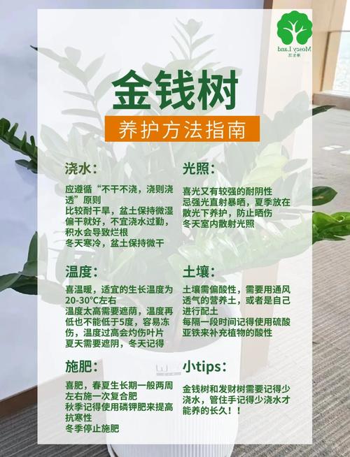 大林木命忌讳哪些行业？如何才能旺财？