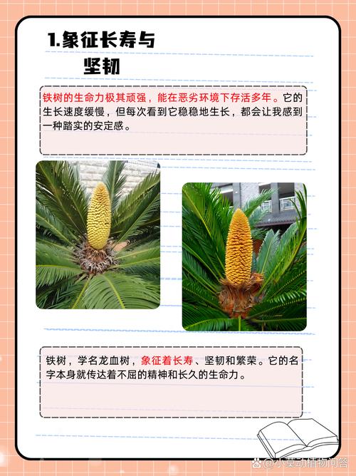 铁树种植在家中嫩起到辟邪和吉祥的风水作用吗？