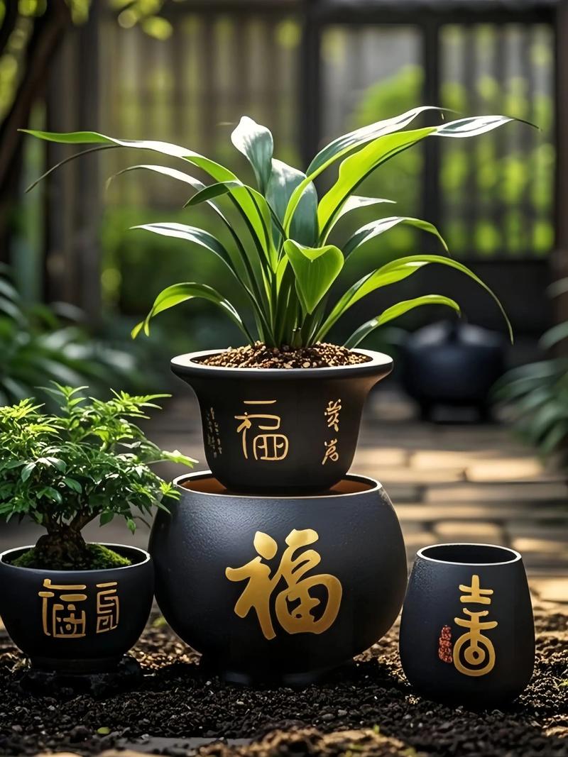 客厅摆放陶瓷花盆对家居风水有怎样的影响呢？