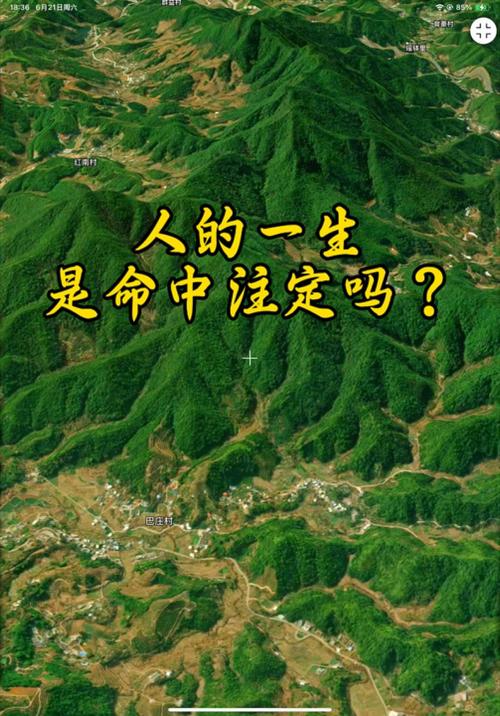 路边出生的命运是否注定是命苦？